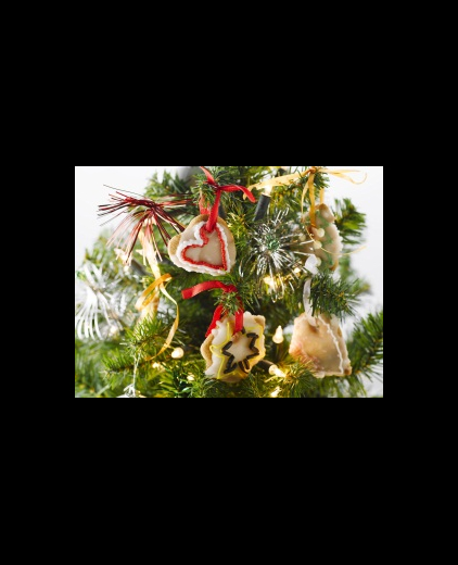 Kerst koekjes