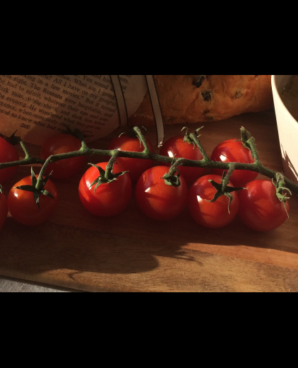 Gebonden tomatensoep