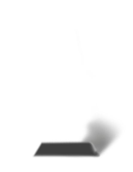 Patentbloem